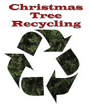 Where and How to Recycle Your Christmas Tree After the Holidays