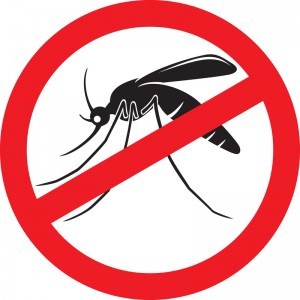 Say NO to Mosquitoes